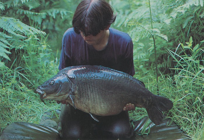 Terry Hearn