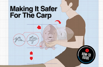 How To Hold A Carp Correctly