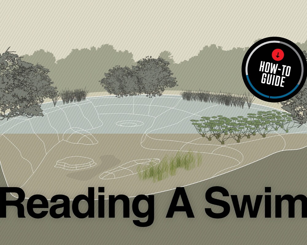 How To Read A Swim Correctly
