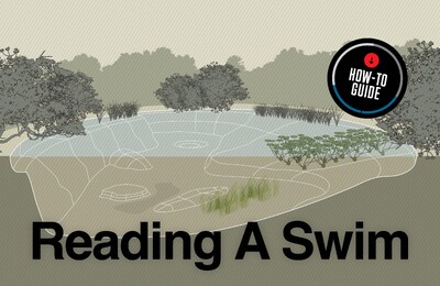 How To Read A Swim Correctly