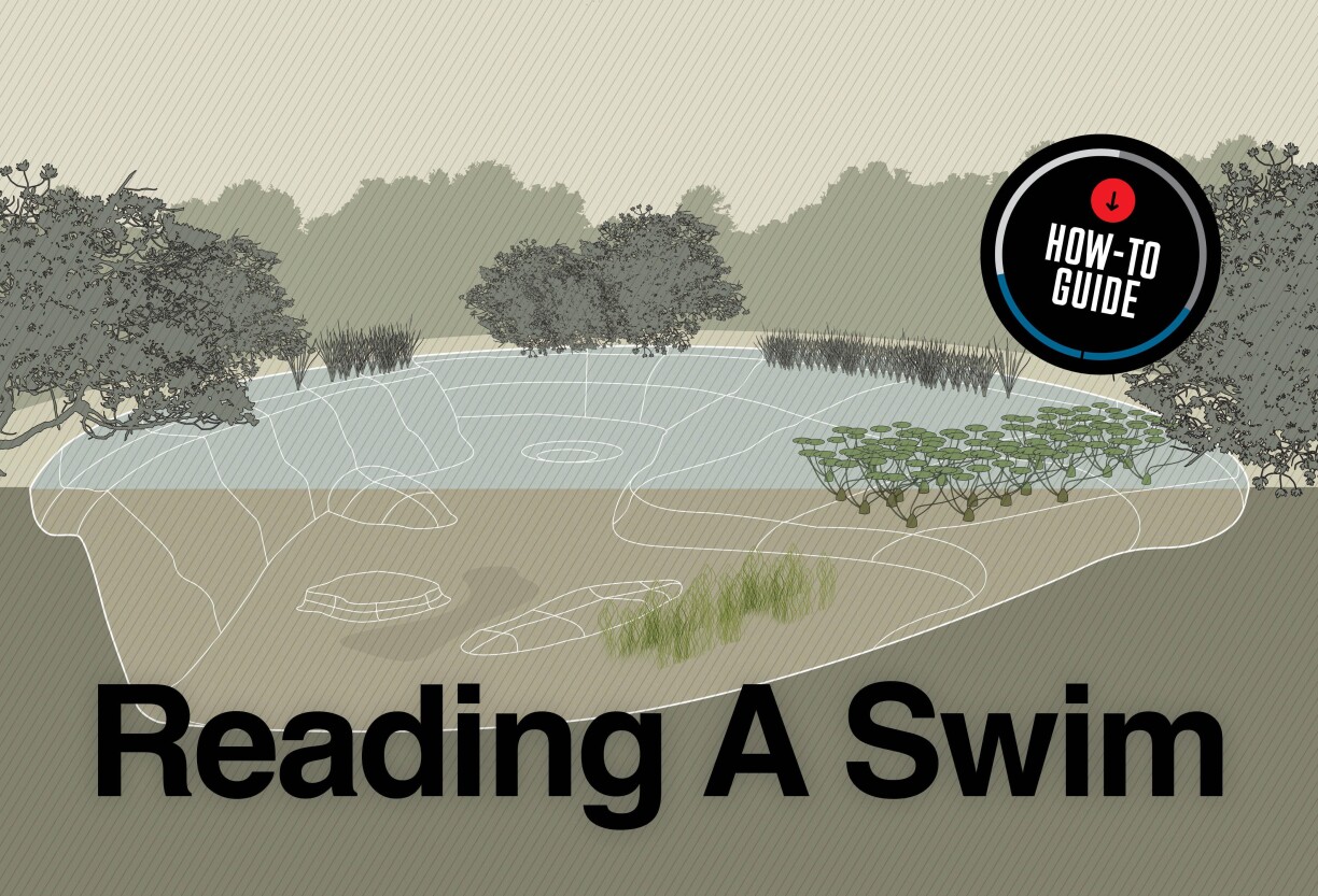 Illustration of a fishing lake showing 11 carp-holding features, including margins, bars, weedbeds, lilies, and a central plateau