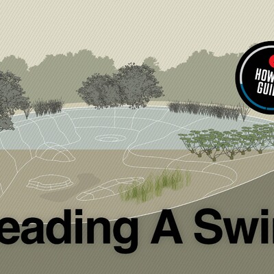 Illustration of a fishing lake showing 11 carp-holding features, including margins, bars, weedbeds, lilies, and a central plateau