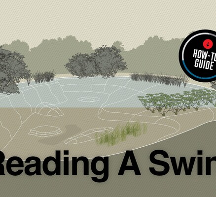 Illustration of a fishing lake showing 11 carp-holding features, including margins, bars, weedbeds, lilies, and a central plateau