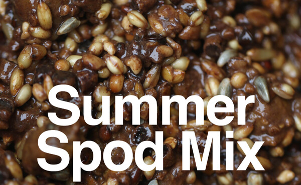 Grade A Post-Spawn Spod Mix