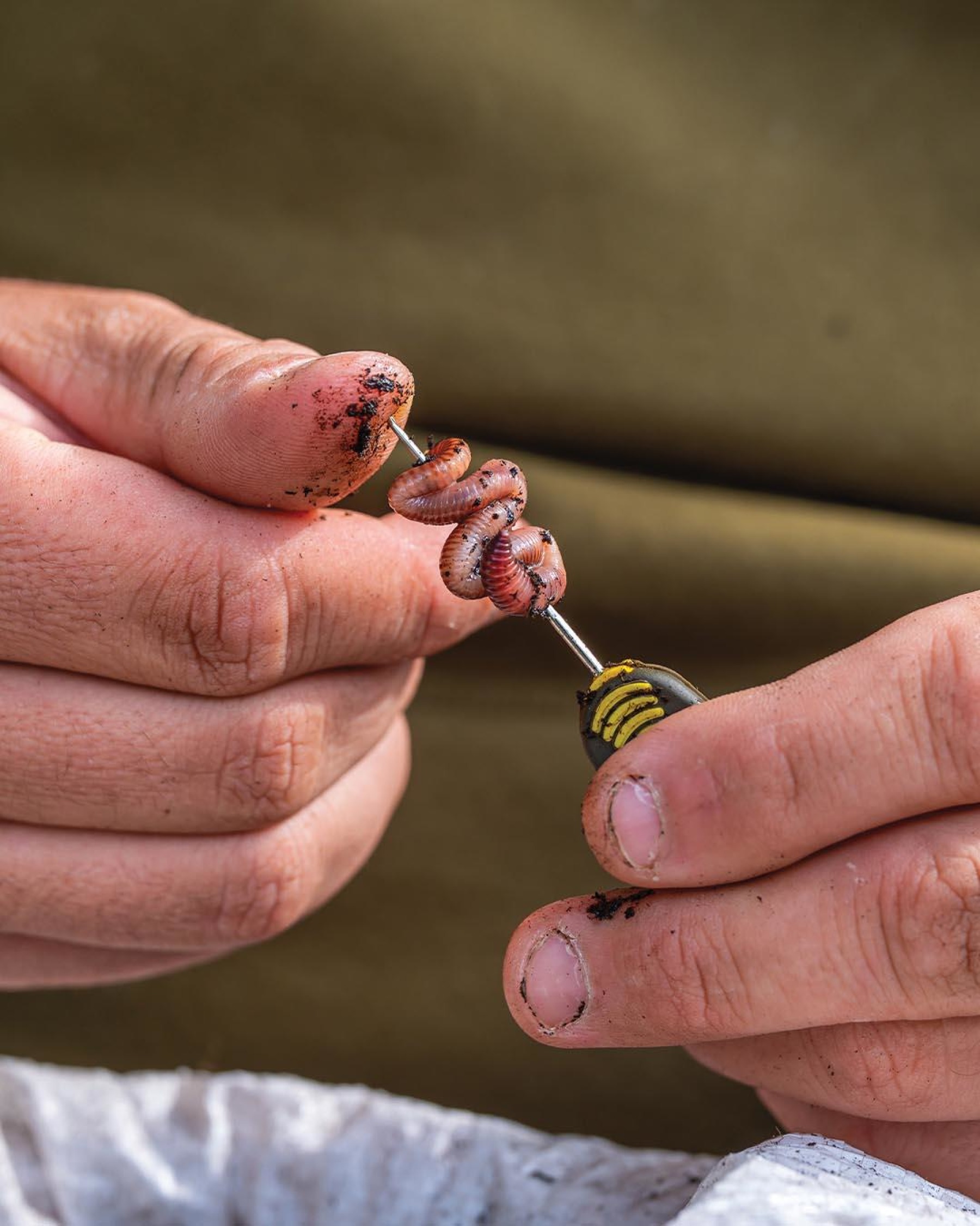 5. Concertina your worms onto a needle.