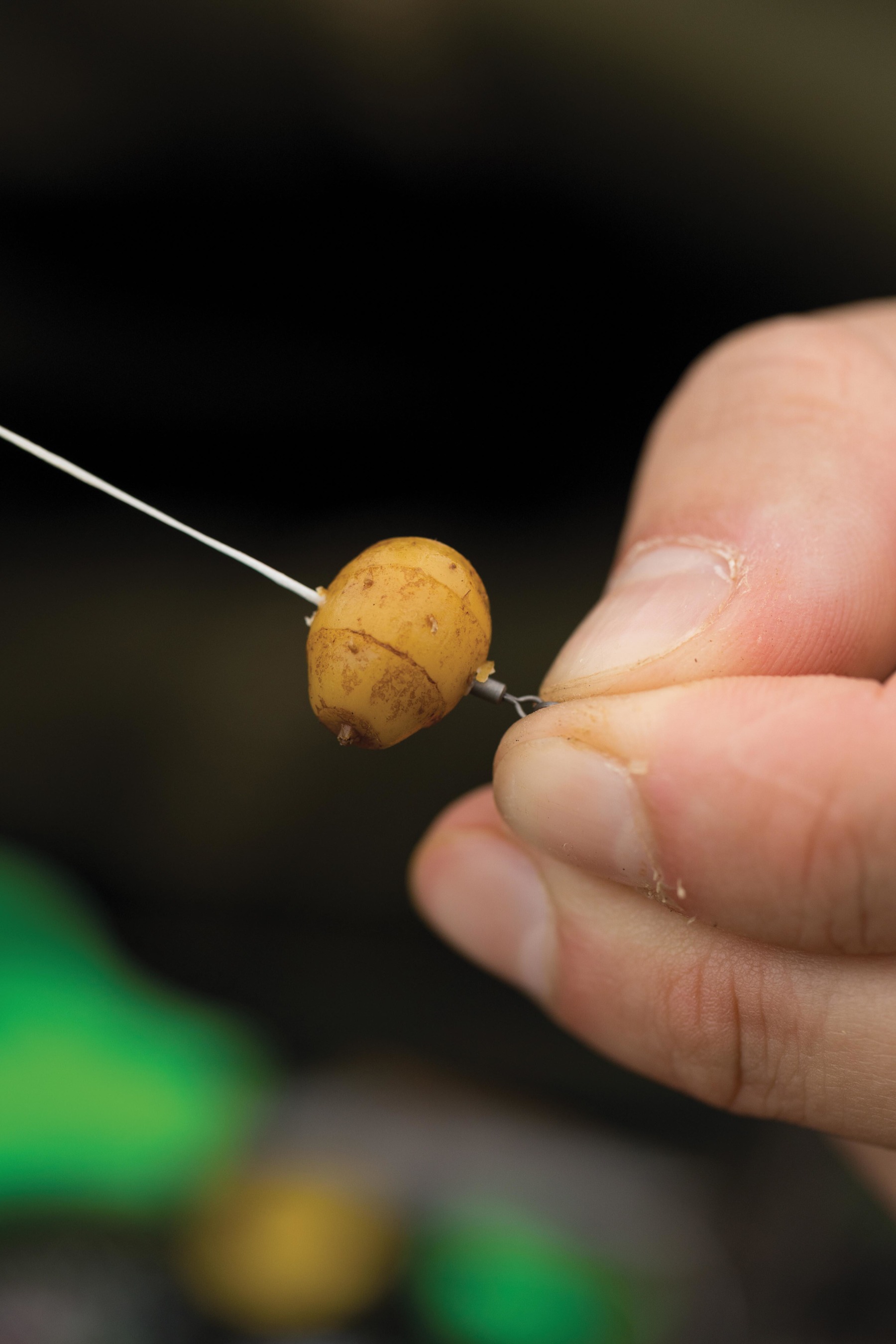 2. Mount a tiger onto a hook ring swivel with bait floss. 